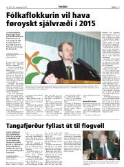 Síða 19