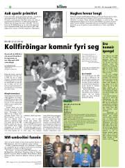 Síða 28