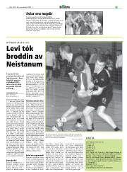 Síða 29