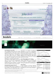 Síða 6