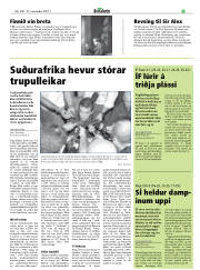 Síða 29