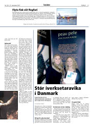 Síða 19
