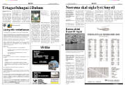 Síða 3