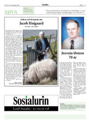 Síða 15