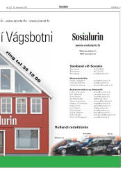 Síða 29