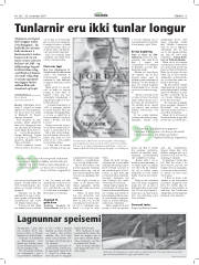 Síða 15
