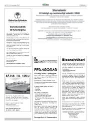 Síða 41