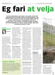 Síða 18