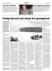 Síða 11