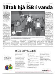 Síða 17