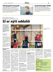 Síða 21