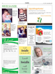 Síða 30