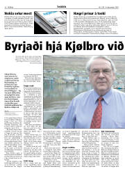 Síða 20