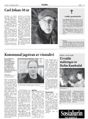 Síða 15