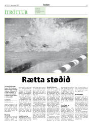 Síða 33
