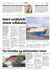 Síða 21