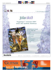 Síða 31