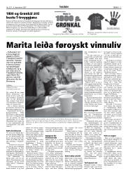 Síða 17