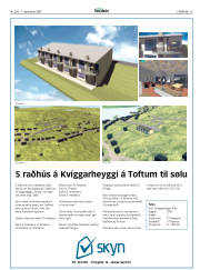 Síða 25