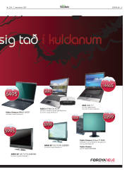 Síða 29