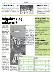 Síða 36