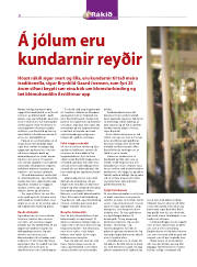Síða 8