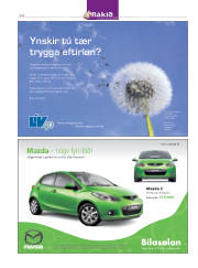 Síða 14