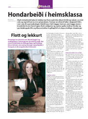 Síða 30