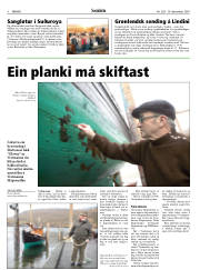 Síða 4