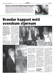 Síða 13