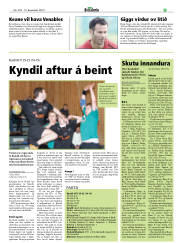 Síða 25