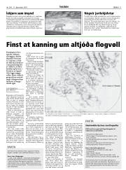 Síða 11