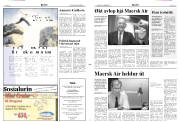 Síða 2