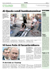 Síða 17