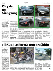 Síða 22