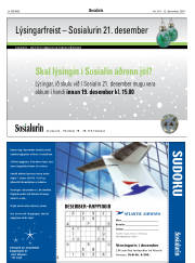 Síða 24