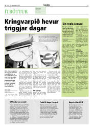 Síða 31