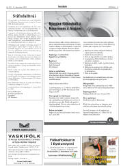 Síða 33