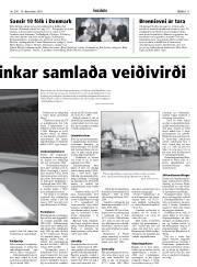 Síða 11