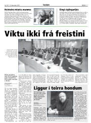 Síða 17