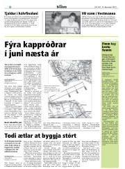 Síða 36