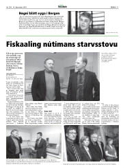 Síða 11