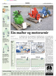 Síða 15