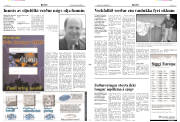 Síða 3