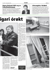 Síða 11