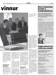 Síða 17