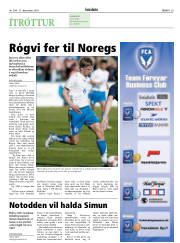 Síða 29