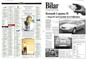 Síða 11