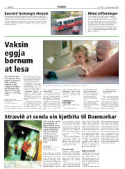 Síða 8