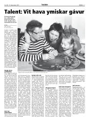 Síða 17